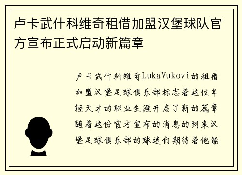 卢卡武什科维奇租借加盟汉堡球队官方宣布正式启动新篇章